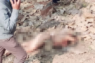 Beheaded body Dead woman Bhilvadi Black magic Maharashtra மகாராஷ்டிரா மர்மமான முறையில் பெண் கொலை பிலவ்தி மர்மமான முறையில் பெண் கொலை யவத்மால் மர்மமான முறையில் பெண் கொலை Maharashtra mysteriously murdering woman bhilvadi Woman Mystery Murder