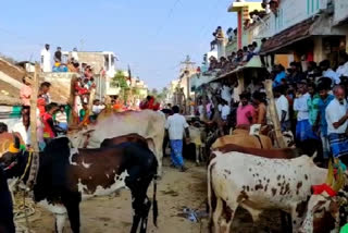 pongal