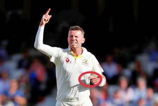 Peter Siddle reveals playing 2019 Ashes with broken thumb
