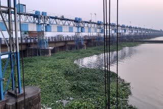 durgapur barrage