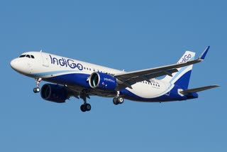 indigo