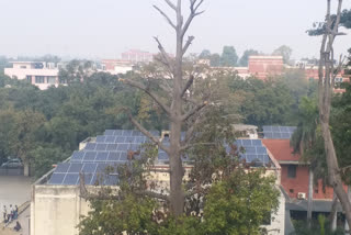 Ramjas College installed solar panel