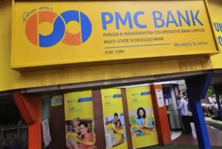 pmc-bank-scam-court-prohibits-transfer-of-housing-to-hdil-promoters