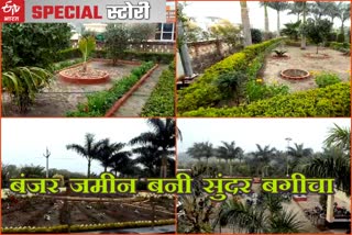 कोटा के किशन बागोरा, कोटा लेटेस्ट खबर, barren land a beautiful garden, kota latest news, kishan bagora kota