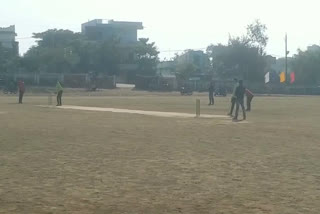 Cricket tournament organized