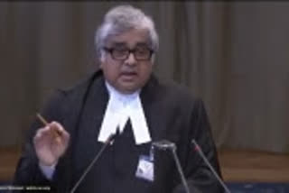 Senior advocate Harish Salve (file photo)