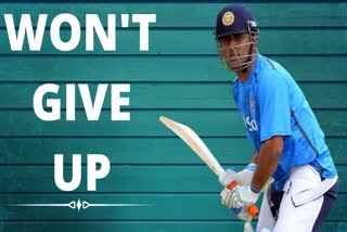 dhoni