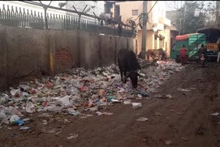 Heaps of garbage outside the school, children are studying by tying cloth on the mouth