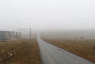 Fog shows the effect after rain in rajgarh