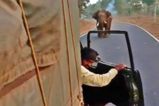 Elephant attack, Elephant attack on Forest vehicle, Elephant attack on Forest vehicle in Mysore, Mysore elephant attack news, ಆನೆ ದಾಳಿ, ಫಾರೆಸ್ಟ್​ ವಾಹನದ ಮೇಲೆ ಆನೆ ದಾಳಿ, ಮೈಸೂರಿನಲ್ಲಿ ಫಾರೆಸ್ಟ್​ ವಾಹನದ ಮೇಲೆ ಆನೆ ದಾಳಿ, ಮೈಸೂರು ಆನೆ ದಾಳಿ ಸುದ್ದಿ,