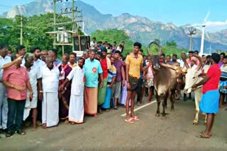 Cow Carnival Competition in Shenbagaramanpudur, 28th Annual Pongal Festival in kanyakumari, குமரி மாட்டு வண்டி பந்தயம்