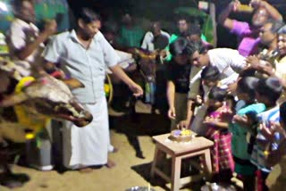 mattu pongal celebration in nagappattinam, மாட்டுக்கு கேக் வெட்டி கொண்டாட்டம்