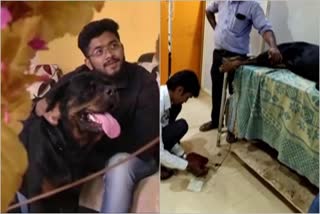 രക്തം ദാനം ചെയ്‌ത് നായ  Dog donated blood  ബെംഗളൂരു  കര്‍ണാടക  blood danation  രക്തദാനം