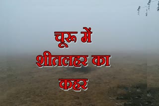 cold wave in churu,चूरू में शीतलहर,churu news,चूरू की खबर,जिला कलेक्टर संदेश नायक,District Collector Sandesh Nayak