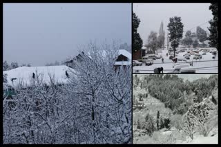 snowfall in himachal