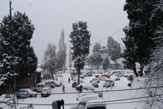 snowfall in kinnaur