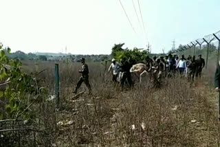 suspense over leopard death