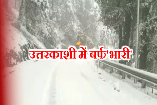 uttarkashi news