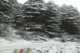 Beautiful view of snowfall in Dhanaulti