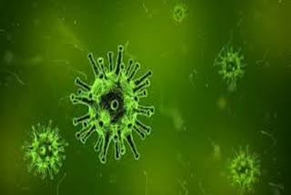 india-issues-travel-advisory-in-wake-of-coronavirus-spread-in-china