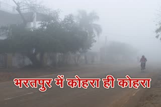 भरतपुर न्यूज, bharatpur latest news, मावठ और ओलावृष्टि, temperature fall,  विजिबिलिटी 100 मीटर से भी कम, Visibility less than 100 meters