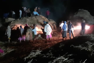 Eight acres of rice crop burnt in Gondia