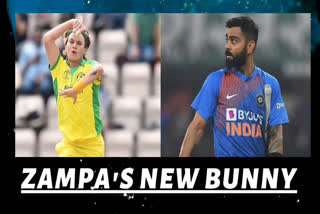 ind vs aus 2nd odi rajkot : adam zampa becomes most successful spinner vs virat kohli in odis