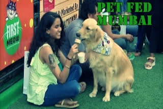 pet show