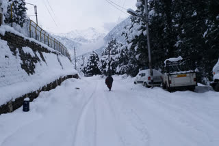 weather news kinnaur