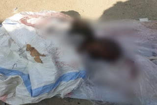 pratapgarh news, dead body found, unknown dead body, व्यक्ति का शव,  प्रतापगढ़ न्यूज, प्रतापगढ़ में व्यक्ति का शव, अज्ञात शव