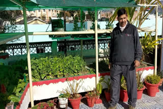 pithoragarh-jc-pant-doing-roof-top-gardening