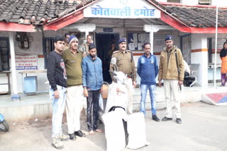 hemp-smuggler-arrested-by-kotwali-police-damoh