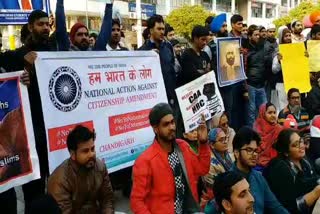 caa and nrc protest in chandigarh