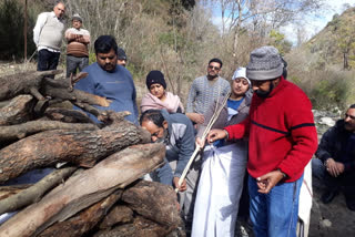 Daughters set fire to father pyre in Solan, सोलन में समाज की बेड़ियां तोड़कर बेटियों ने दी पिता की चिता को मुखाग्नि