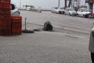 Heavy rain in sundernagar Mandi