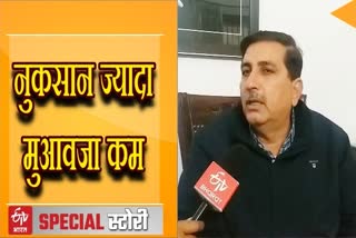 Tiddi dal attack, राजस्थान टिड्डी हमला