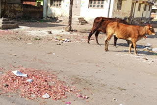 बदनापुरात आठवडी बाजारानंतर सर्वत्र घाणीचे साम्राज्य