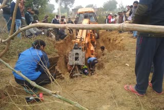 Three cows fell into the well