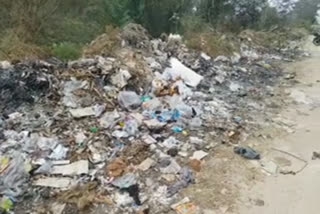 Increasing waste in Hassan......officers ignoring this pollution problem!