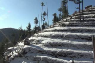 sunlight knocked in himachal