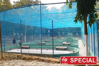 tortoise rescue center is ready in bhagalpur