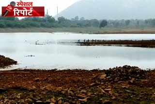 प्रवासी पक्षियों की गणना, counting of migrate birds, बूंदी लेटेस्ट हिंदी खबर, bundi latest news