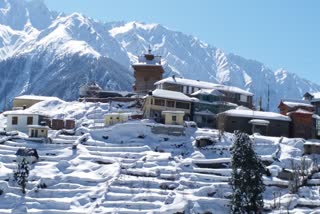 kalpa kinnaur snowfall photos