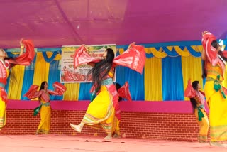 Bodo cultural programme held in Baksa