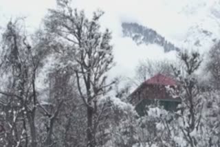 Giant avalanche hits Himachal Pradesh's Kinnaur