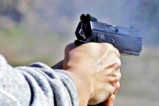 younger brother shot his elder brother
