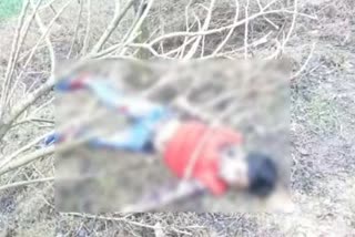 2 deadbody found in sirsa