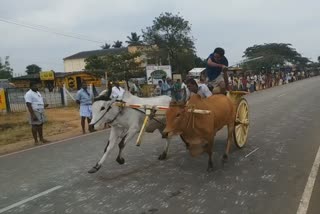 விருவிருப்பாக நடைபெற்ற ரேக்லா பந்தயம்