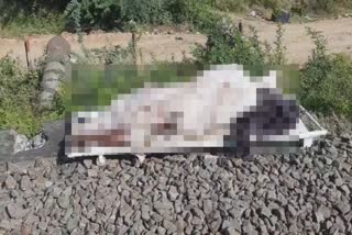 Suspected male corpse on a railway track near Nagercoil