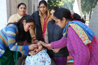 polio supplements in Sundarnagar